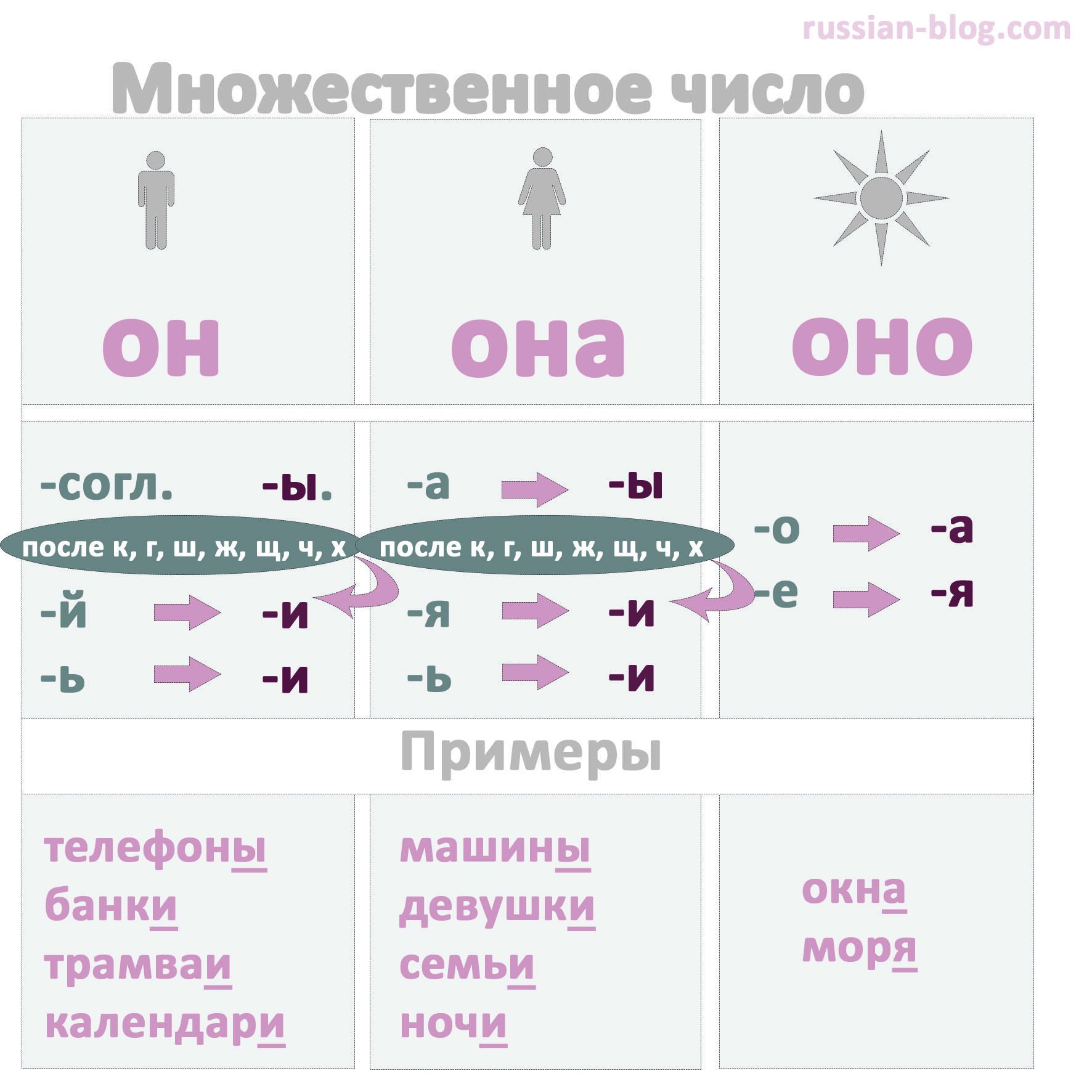Образование существительных в русском языке. Как образовывать множественное число в русском языке. Множественное число существительных в русском языке правило. РКИ множественное число существительных. Как образовать множественное число существительных в русском языке.